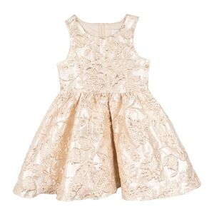 Rare Editions Toddler Dress
